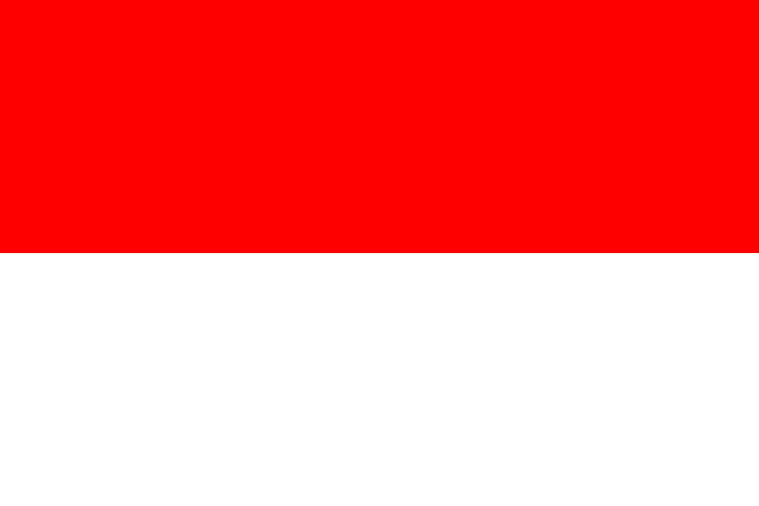 インドネシアの国旗 世界の国旗