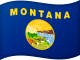 モンタナの旗